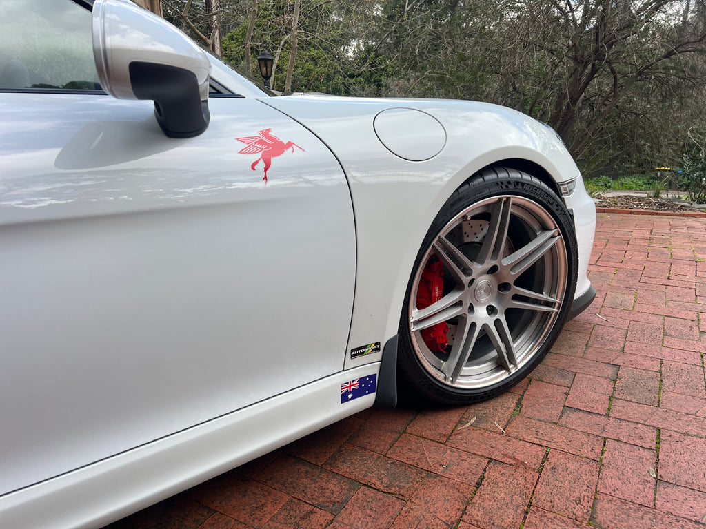 Porsche Cayman GT4 - Stoneguards (981)